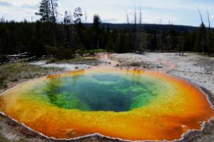 A hot spring pool with blue-green center and yellow edges surrounded by white tufa rock