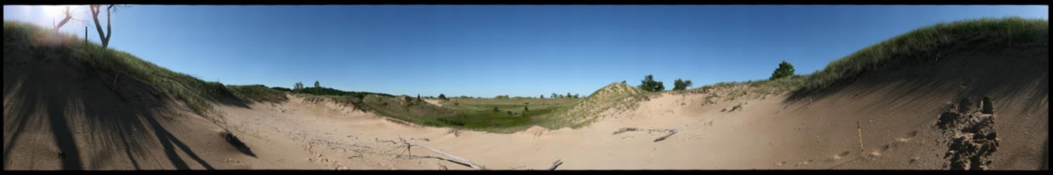 360 degree panoramic view of a dune blowout and wetland