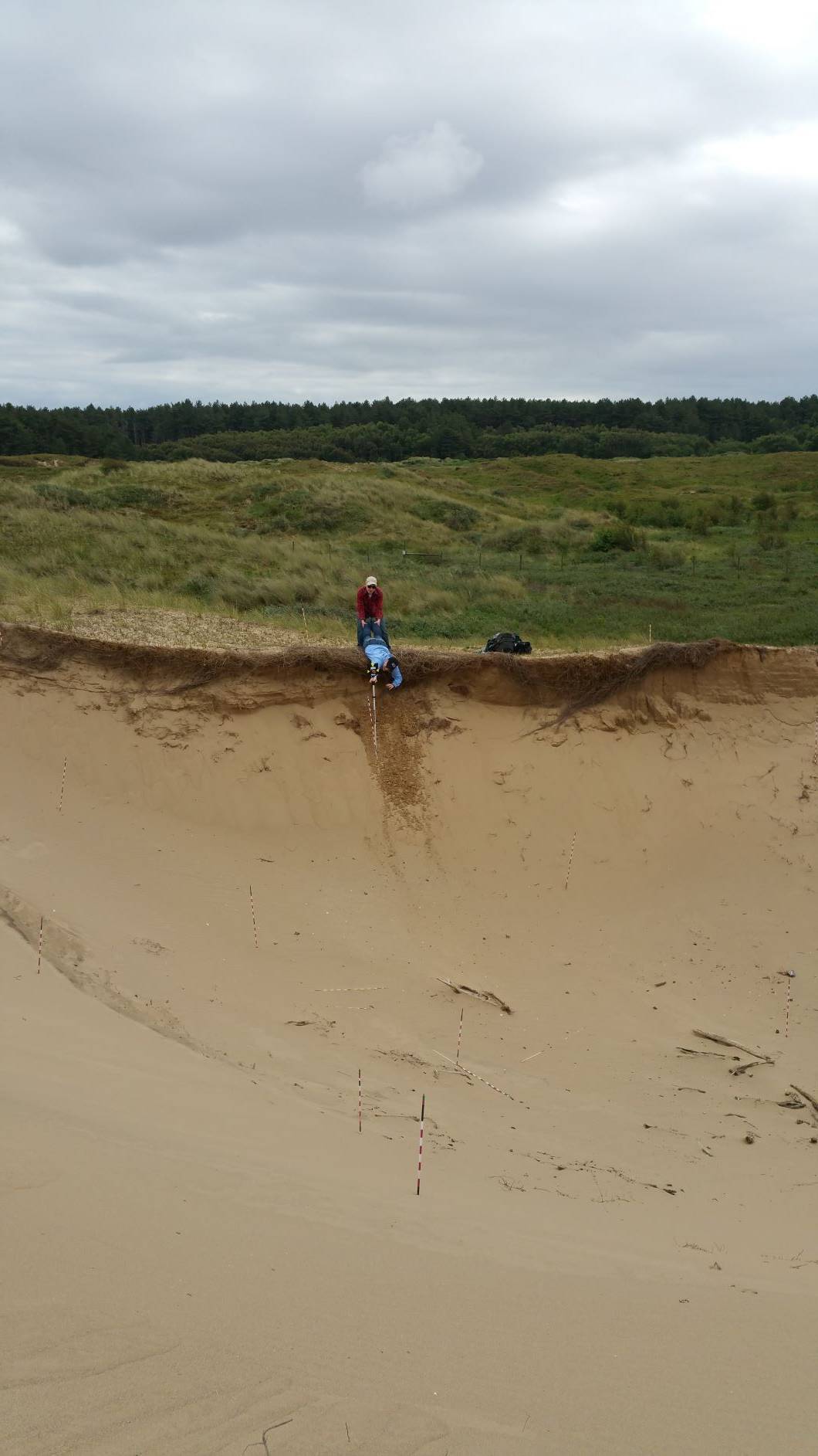 view of a deep sand depression with a prone student leaning out over the rim to hold a surveying rod while another student holds her legs